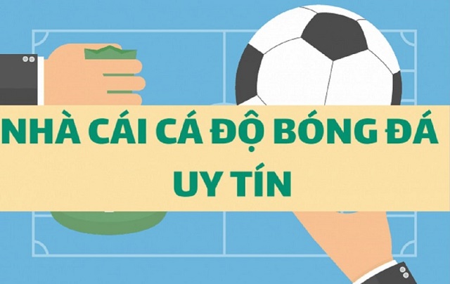 Chọn nhà cái cá độ uy tín