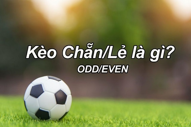 Giới thiệu sơ lược về kèo cược chẵn lẻ cho người mới