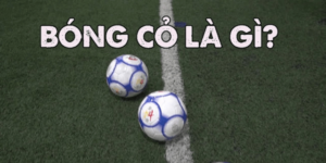 Tìm hiểu khái niệm bóng cỏ là gì?