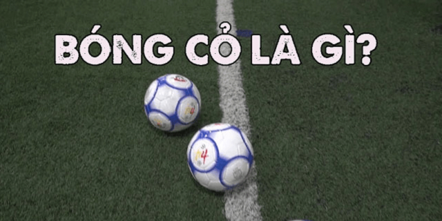 Tìm hiểu khái niệm bóng cỏ là gì?