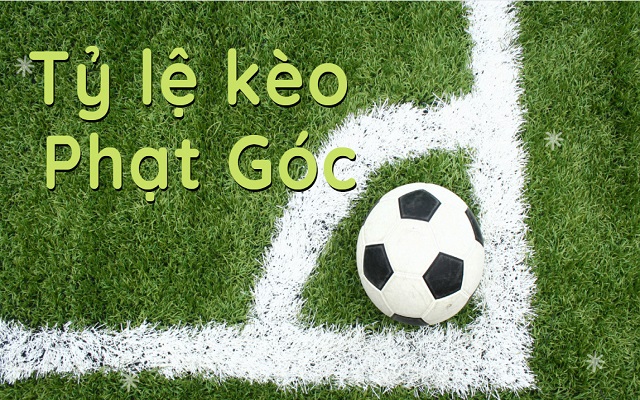 Cần nghiên cứu kỹ thực lực hai đội