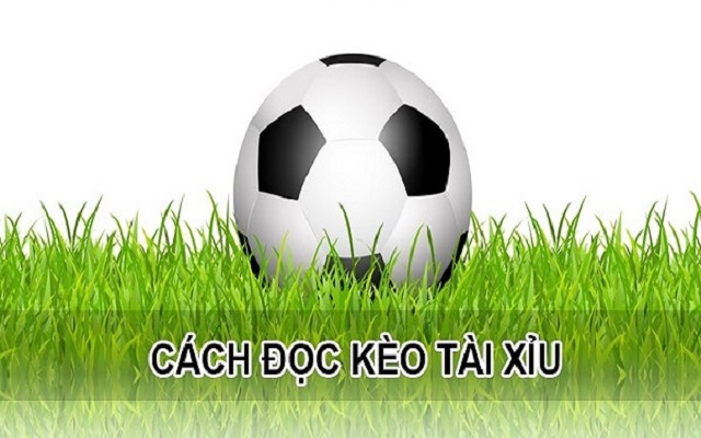 Hướng dẫn cách đọc kèo tài xỉu 1 1 5 Hướng dẫn cách đọc kèo tài xỉu 1 1 5
