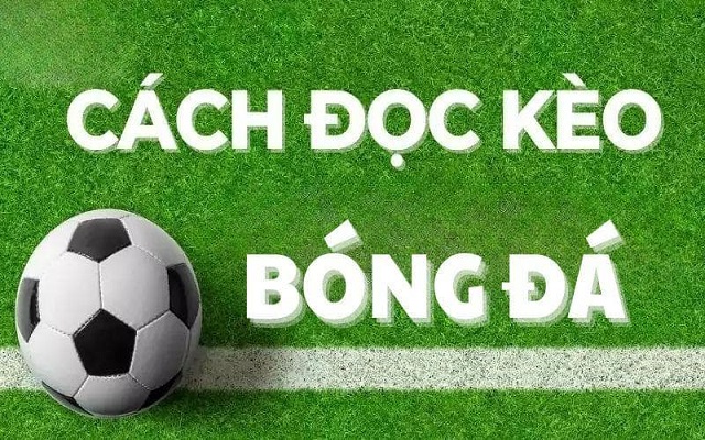 Hướng dẫn đọc bóng đá tỷ lệ cá cược hôm nay Hướng dẫn đọc bóng đá tỷ lệ cá cược hôm nay