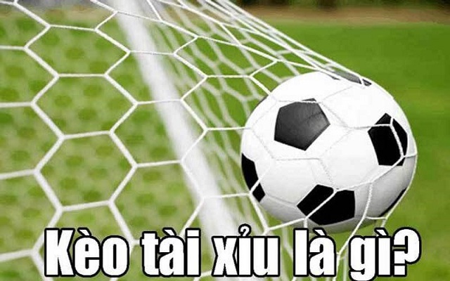 Tài xỉu 1 1 5 là sao