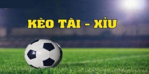 Giới thiệu kèo tài xỉu cho người chơi mới